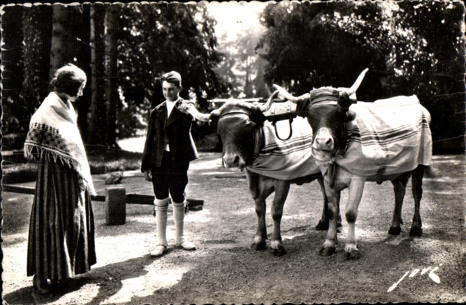 Retour des champs — Terroir Pyrénéen — Ed. JOVE, Pau (B.P.)