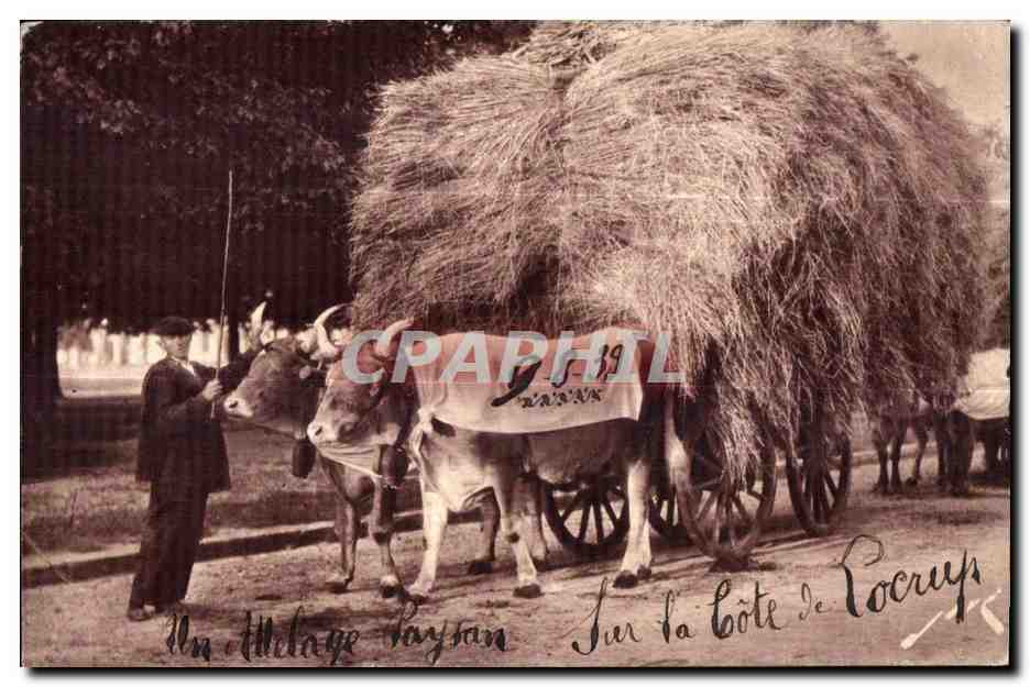CPA Toute la France Editions Jove Pau (B P) Terroir pyreneen Un attelage paysan Sur la cote de Locrys 