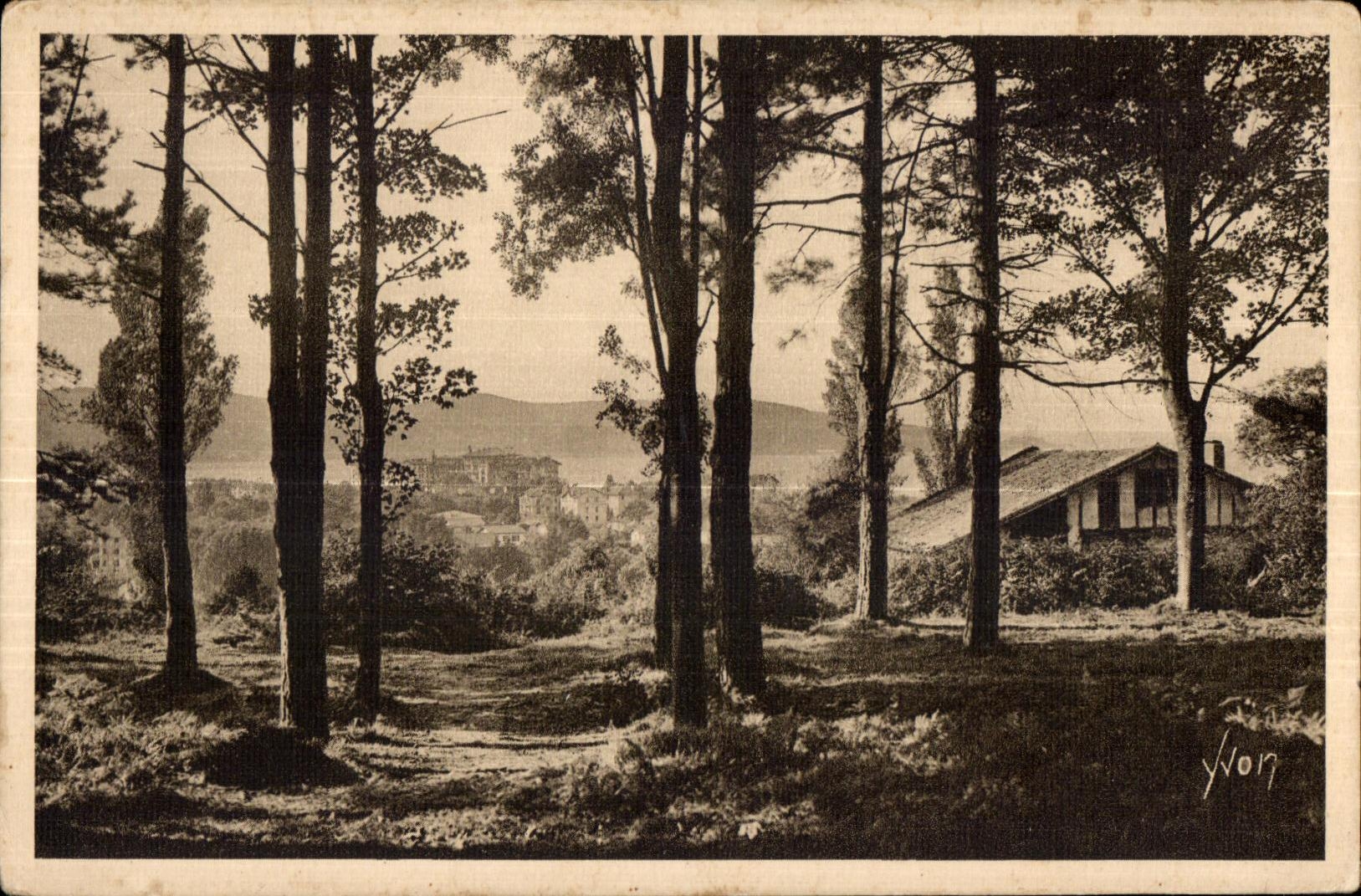 Le Bois de Saskoérée — Hendaye (Basses-Pyrénées) — Yvon
