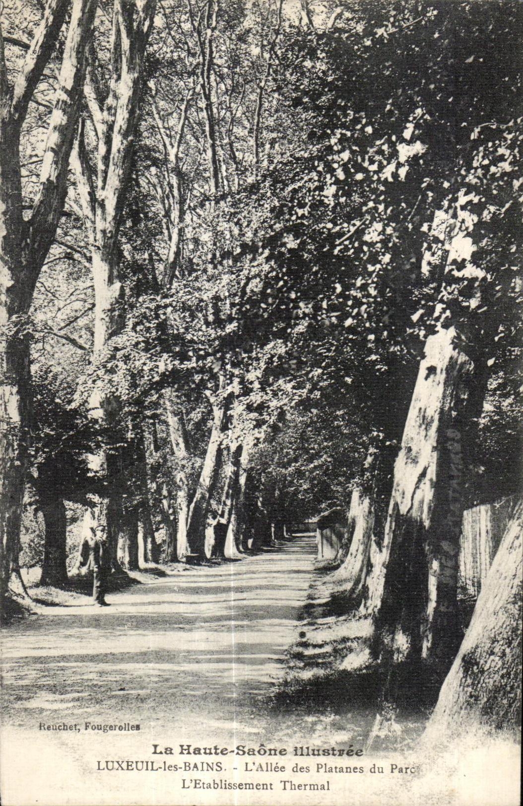 Luxeuil les Bains - L Allee des Plantanes du Parc - CPA 