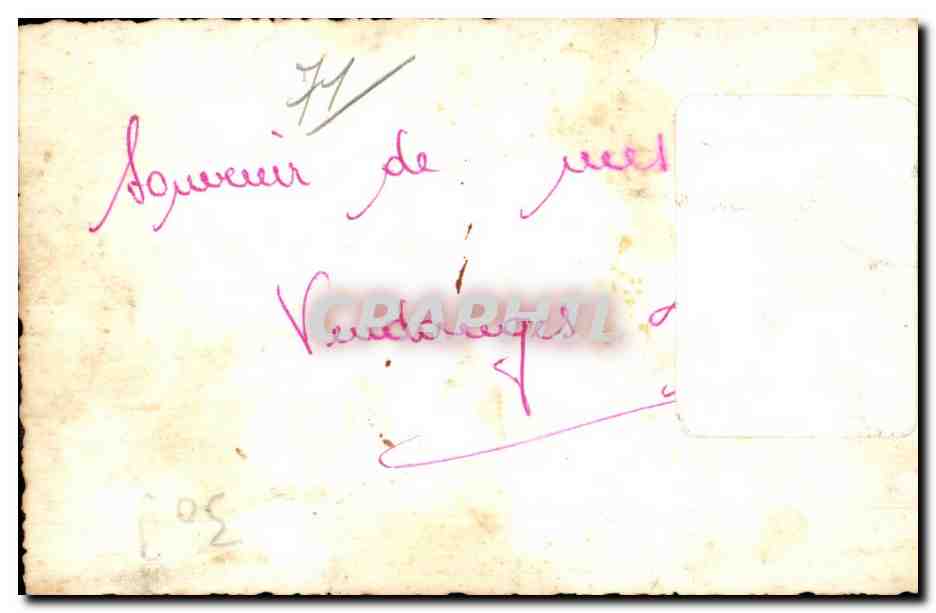 CARTE PHOTO Mes vendanges Cheval Attelage — Rückseite