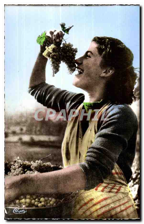 Femme cueillant des raisins — scène de vendanges — éditeur 'Crim' n°6
