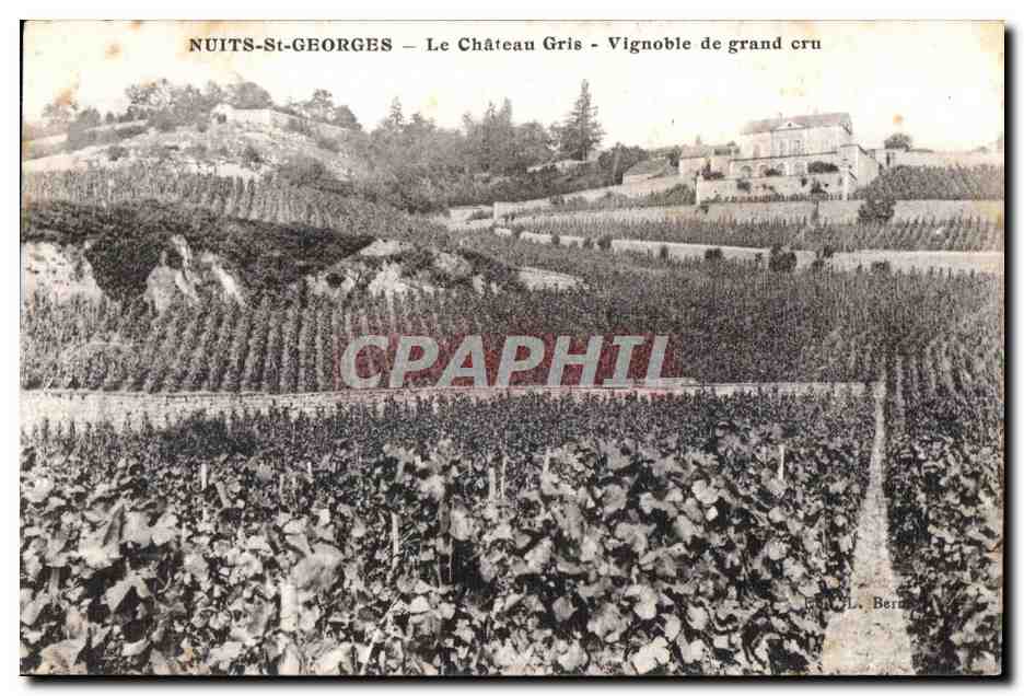 CPA Nuits St Georges Le Chateau Gris Vignoble de grand cru