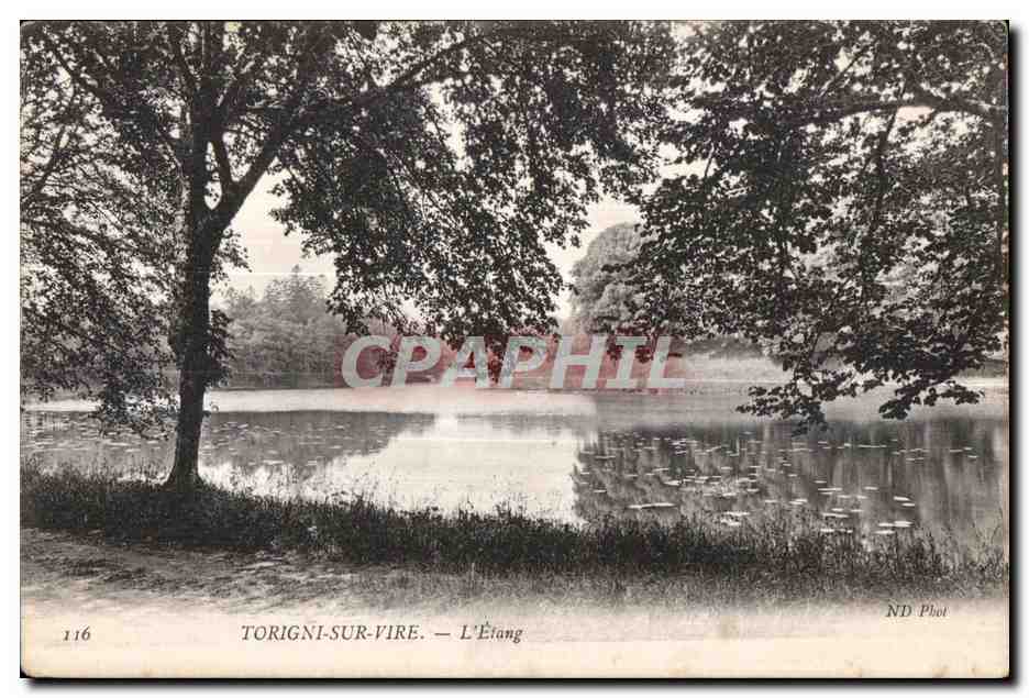 Torigni-sur-Vire — L'Étang — ND Phot