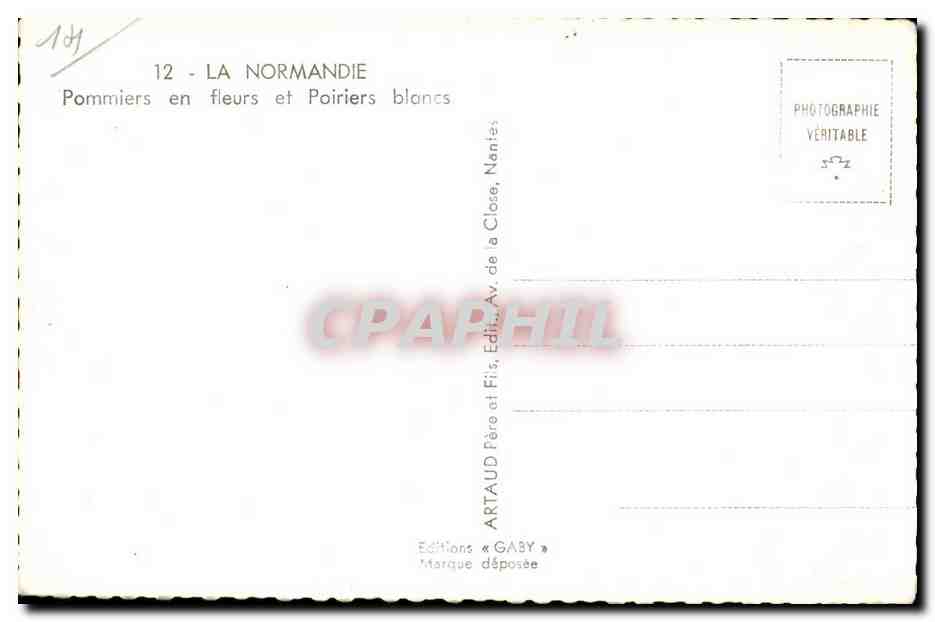CPSM La Normandie Pommiers en fleurs et poiriers blancs Vaches  — Verso