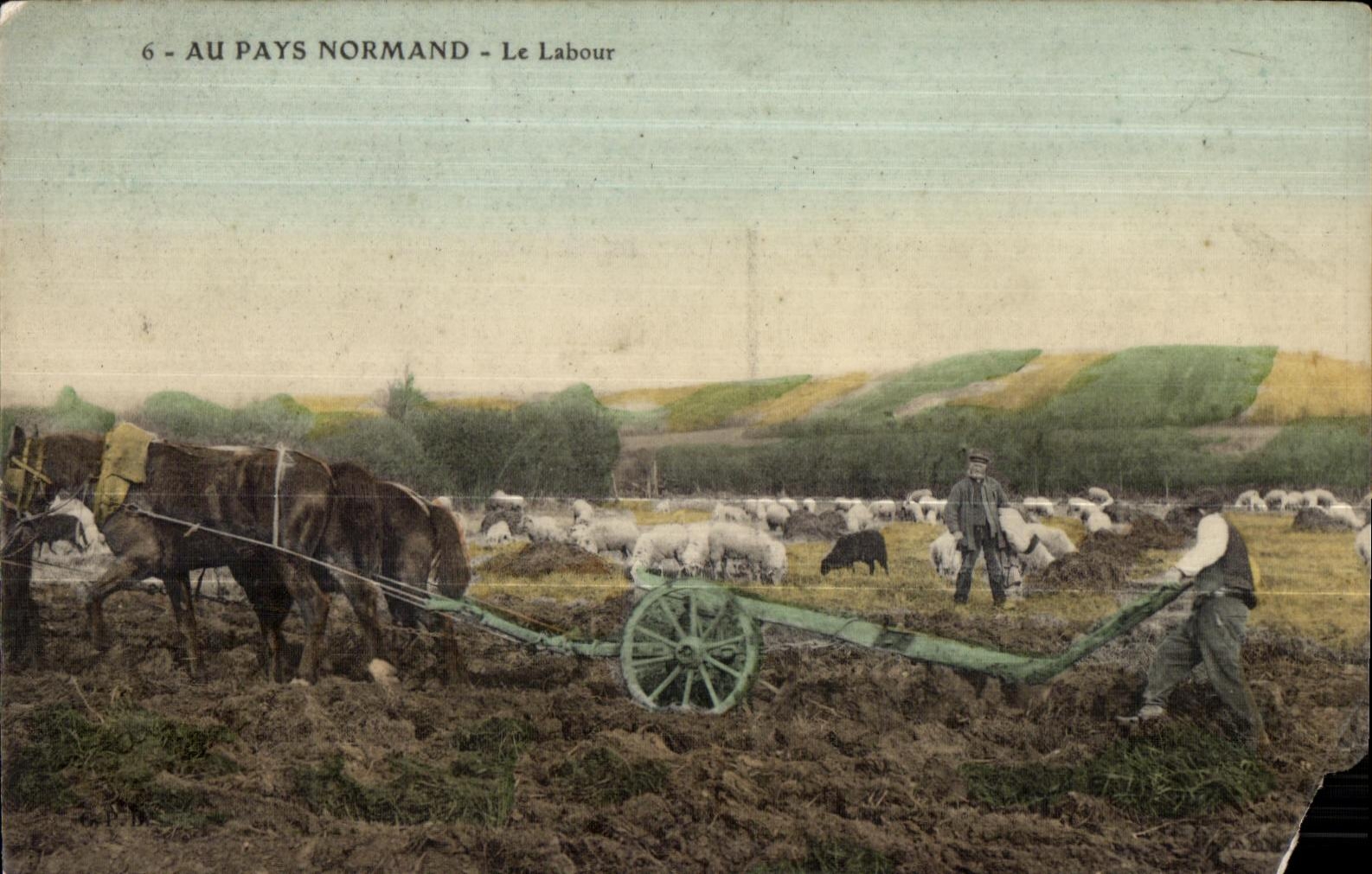 CPA Au Pays Normand Le Labour Attelage Folklore 