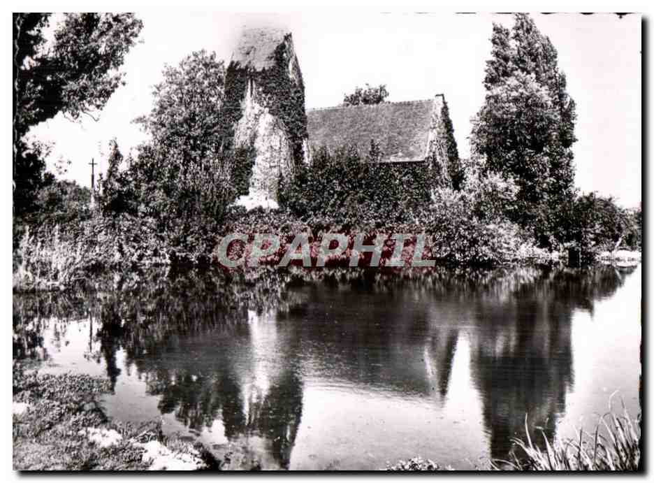 CPSM Villerville sur Mer (Calvados) Pres La Mare de Criqueboeuf L Eglise aux Lierres