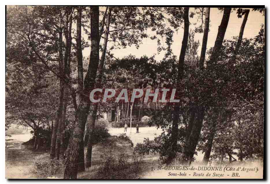 St-Georges-de-Diddonne - Route de Suzac - Côte d'Argent