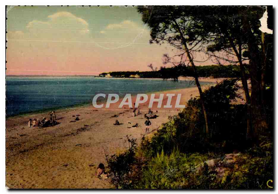 Plage de Pinarello — vue panoramique — CPAPHIL