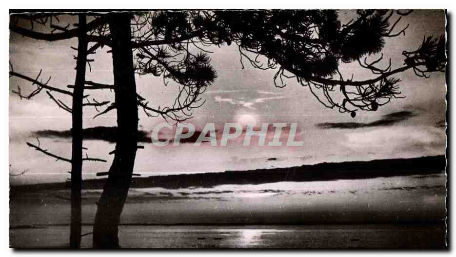 Paysage lacustre au coucher du soleil — silhouettes de pins — CPAPHIL
