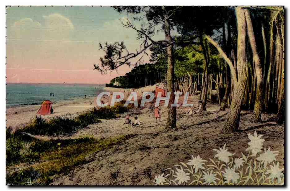 Pine-lined Beach — Bathing View — CPAPHIL