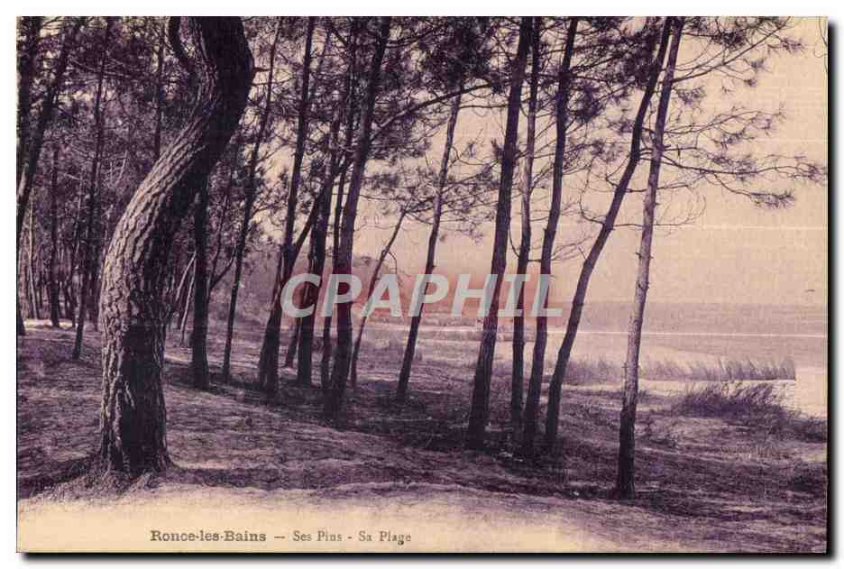 Ronce-les-Bains — Ses Pins — Sa Plage