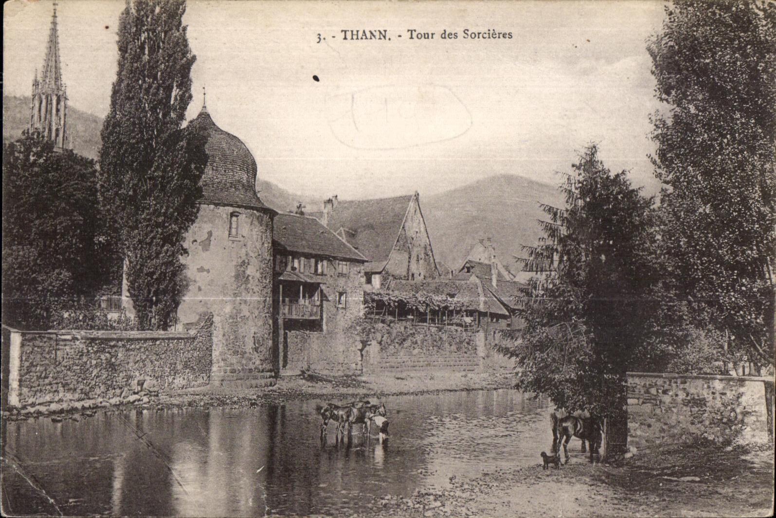 Thann - Tour des Sorcieres Cheval Horse - CPA 