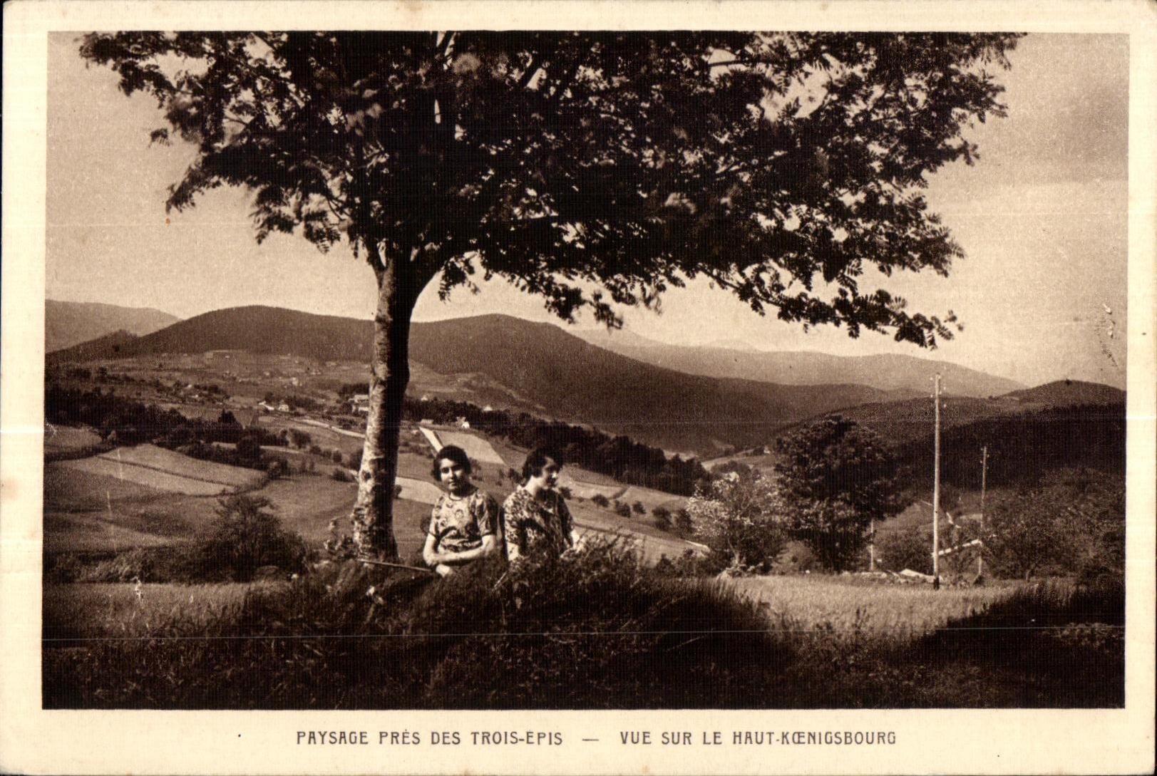 Paysage près des Trois-Epis — Vue sur le Haut-Kœnigsbourg