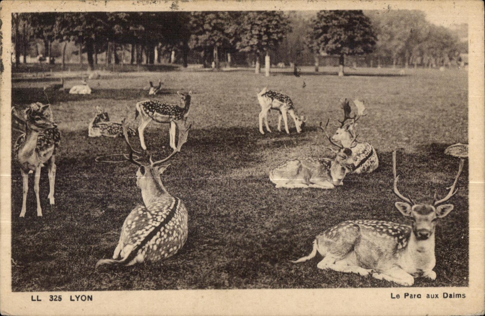 CPA Lyon Le Parc aux Daims