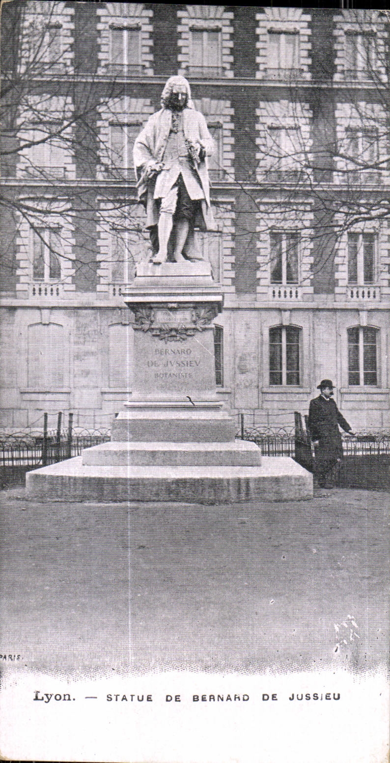 CPA Lyon Statue De Bernard De Jussieu 