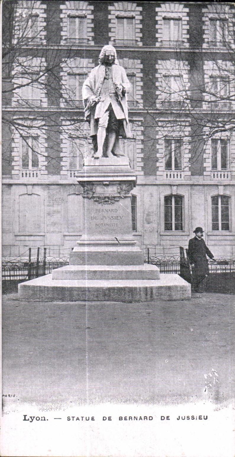 CPA Lyon Statue De Bernard De Jussieu