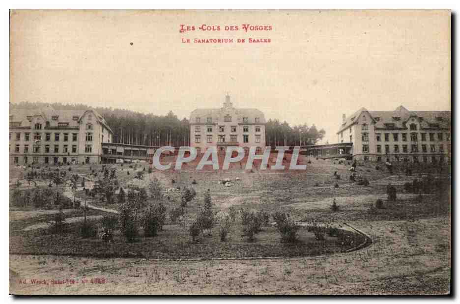 Les Cols des Vosges — Le Sanatorium de Saales — Ad. Weick, Saint-Piér, N° 4083