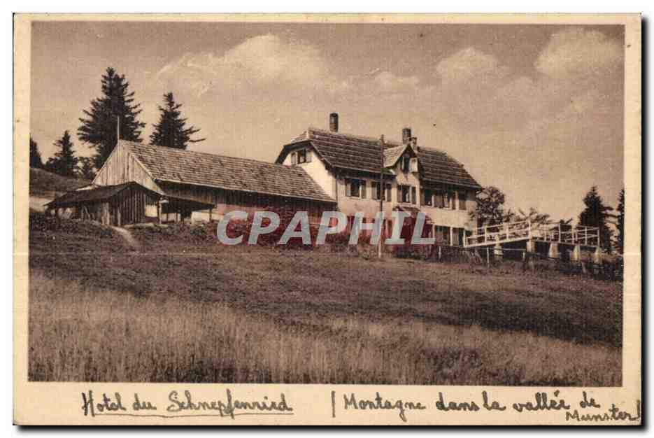 Hôtel du Schneppennried — Montagne dans la vallée de Munster