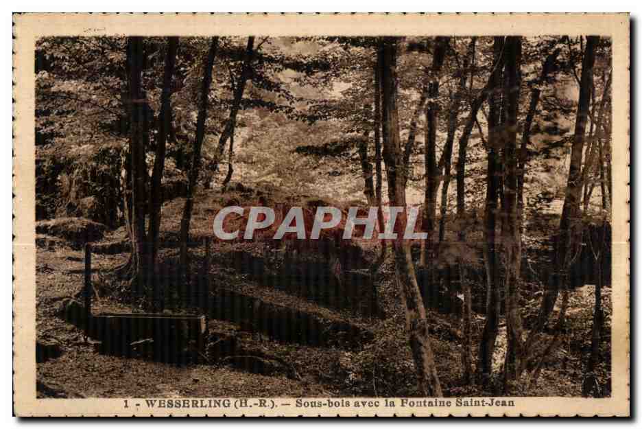 Wesserling (H.-R.) — Sous-bois avec la Fontaine Saint-Jean — CPAPHIL