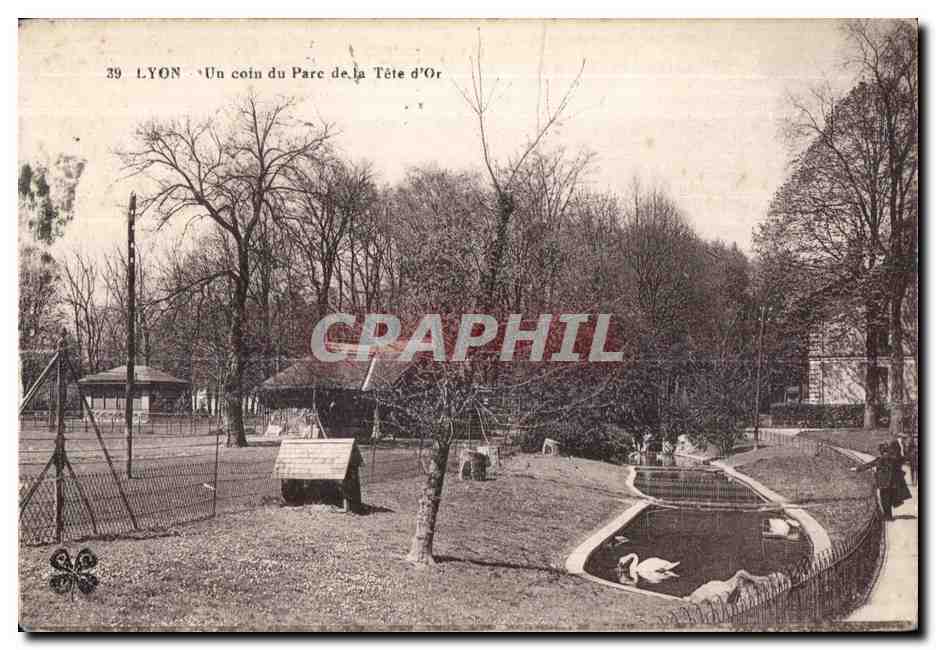 CPA Lyon Un coin du Parc de la Tete d Or