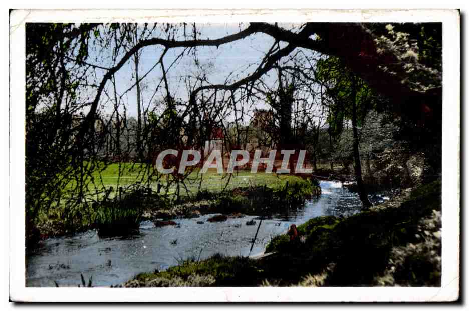 Vue de rivière en forêt — CPAPHIL