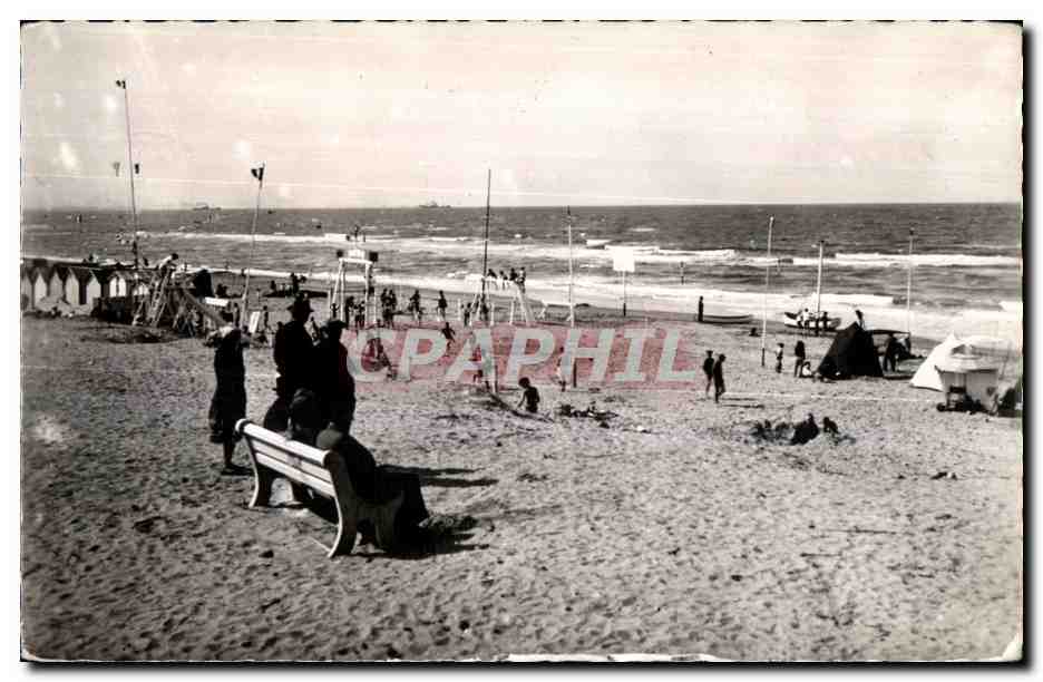 Plage animée — vue de la côte — éditeur CPAPHIL, n° de série non lisible