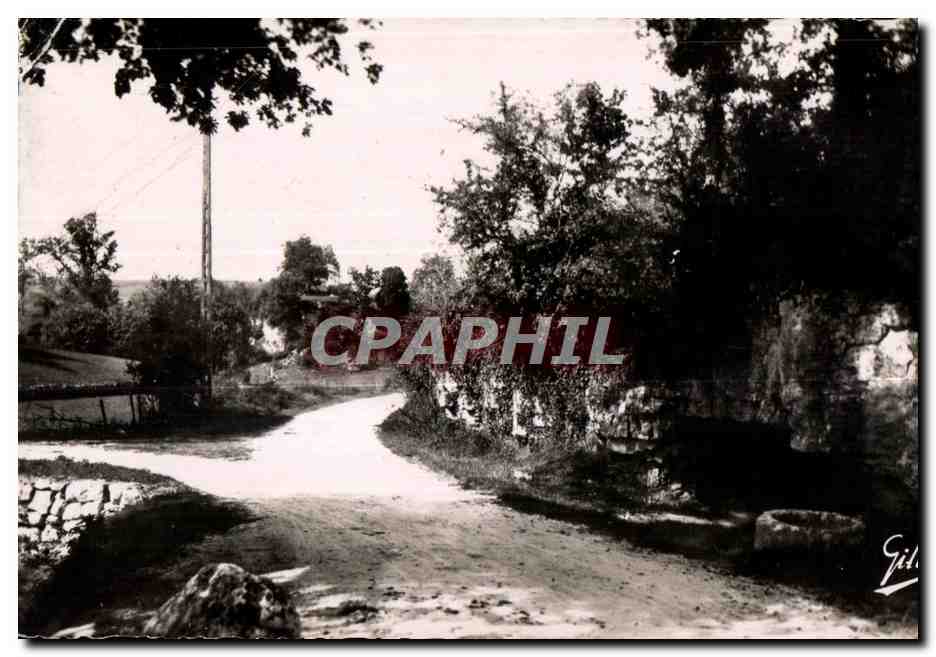 Carretera serpenteante bordeada de árboles — editor Gil, número de serie no visible