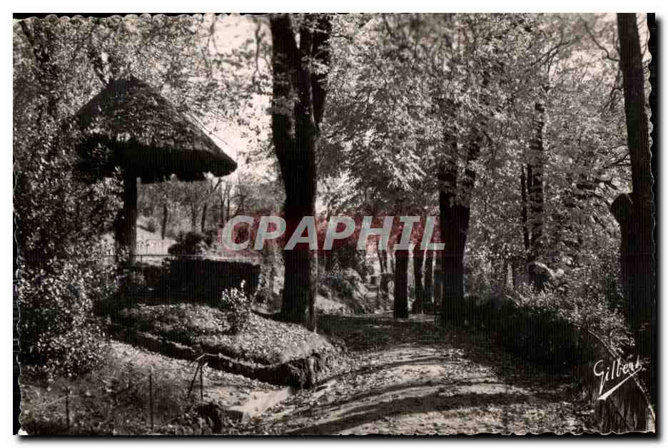 Paysage forestier avec kiosque à toit de chaume — Gilbert