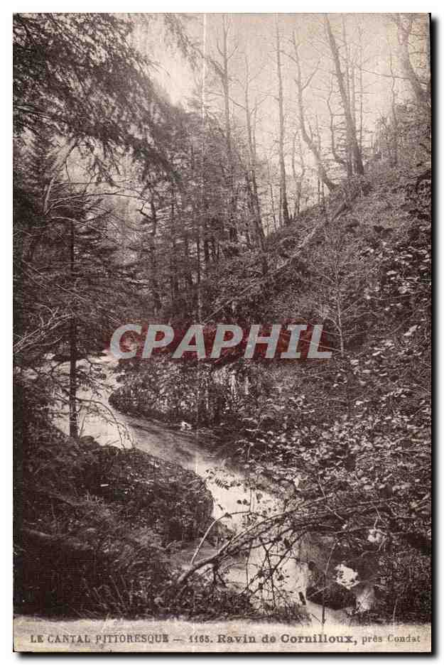 CPA Le Cantal Pittoresque Ravin de Cornilloux Pres Condat