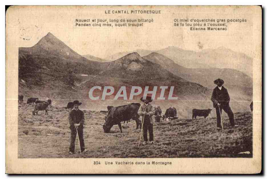 CPA Une vacherie dans la montagne