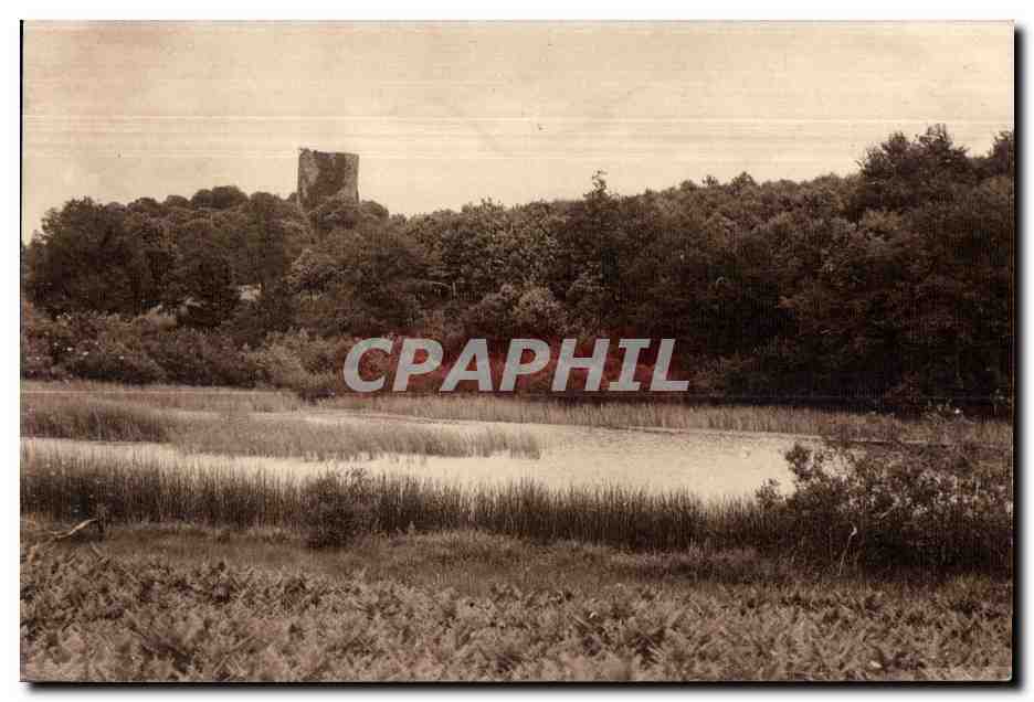Château de la Motte — ruines sur fond de forêt — CPAPHIL