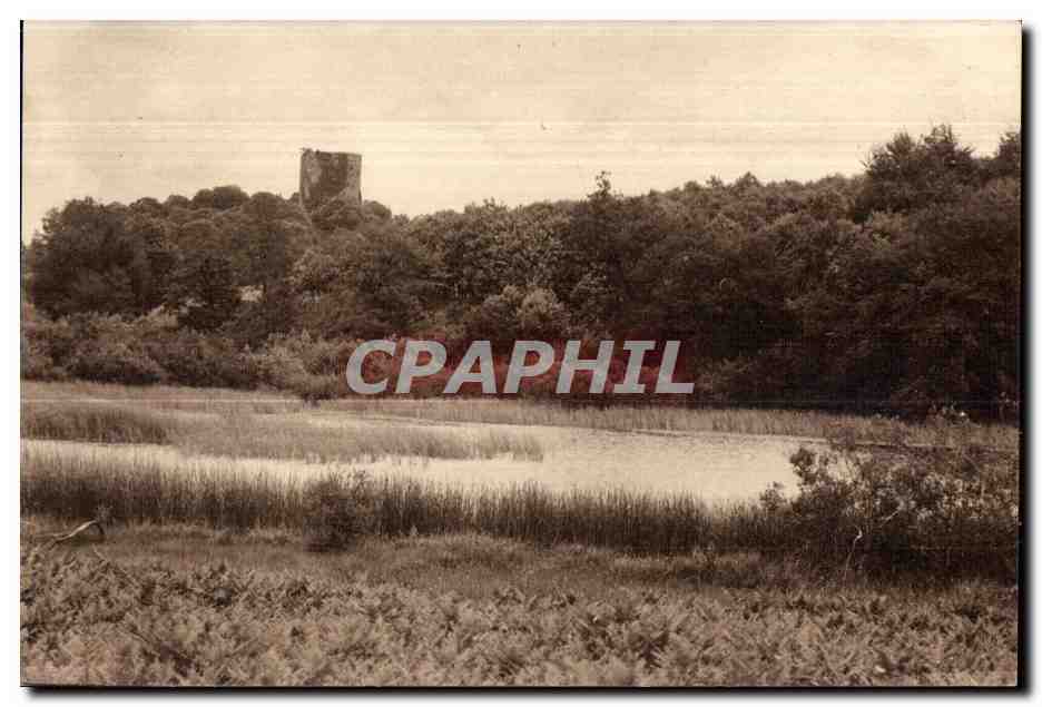 Château de la Motte — ruines sur butte boisée — CPAPHIL