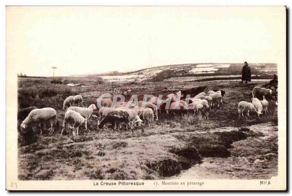 La Creuse Pitttoresque — Moutons au pâturage — MHA n°17