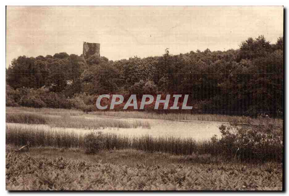 Château de la Motte — ruines sur une colline boisée — vue panoramique