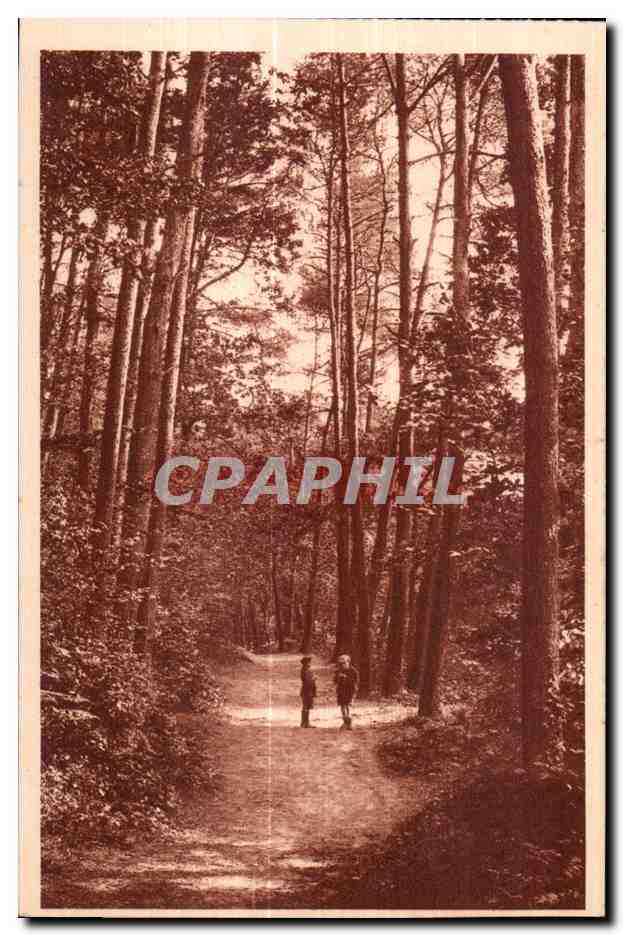 Le Huelgoat - L Allee aux Violettes - CPA 
