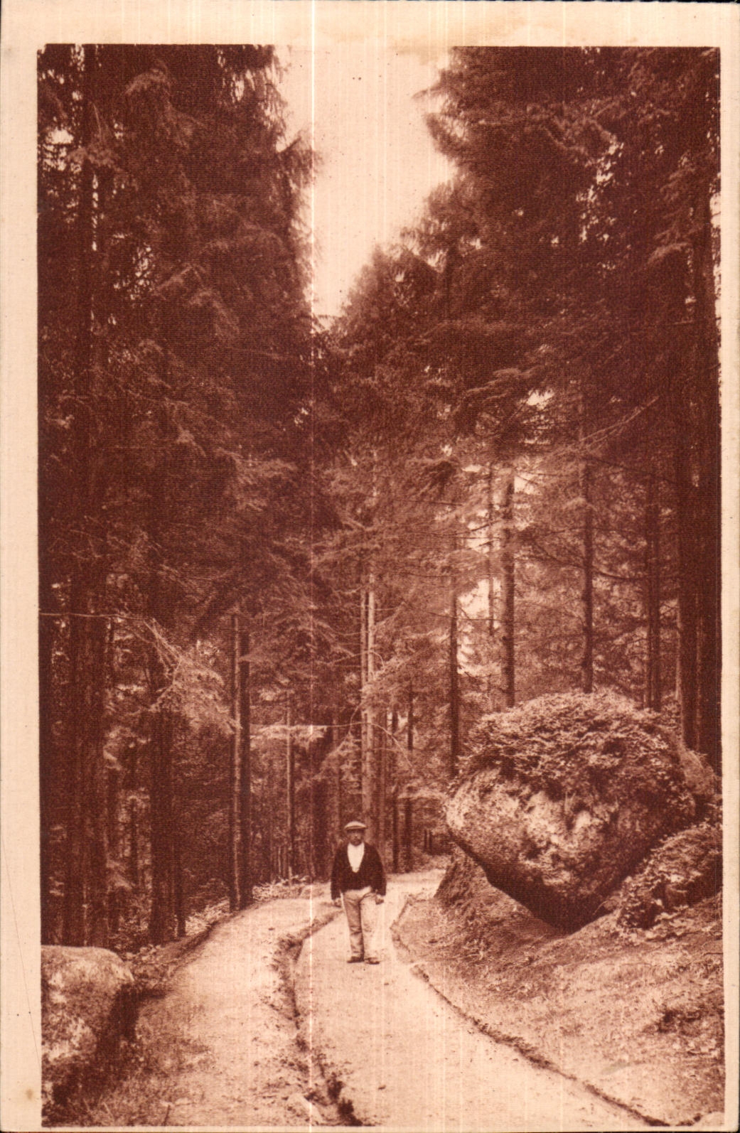 Le Huelgoat - Sous bois pres de la Grotte d Artus - CPA 