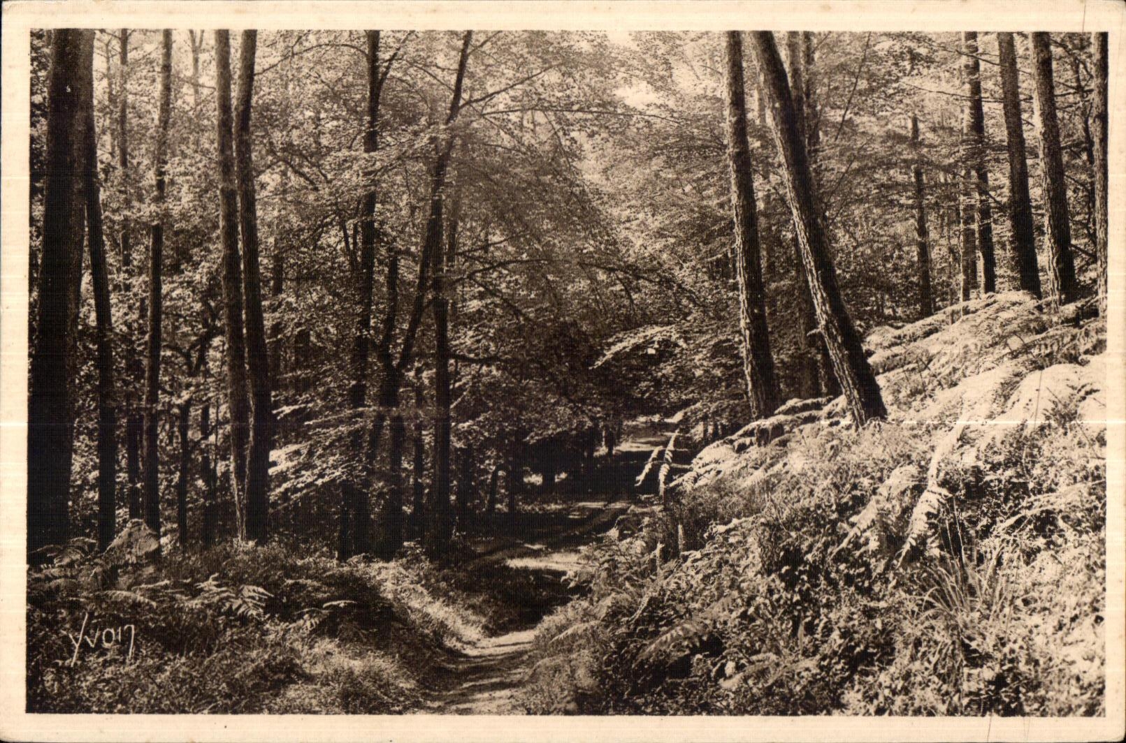 Le Huelgoat - Route dans la Foret - CPA 
