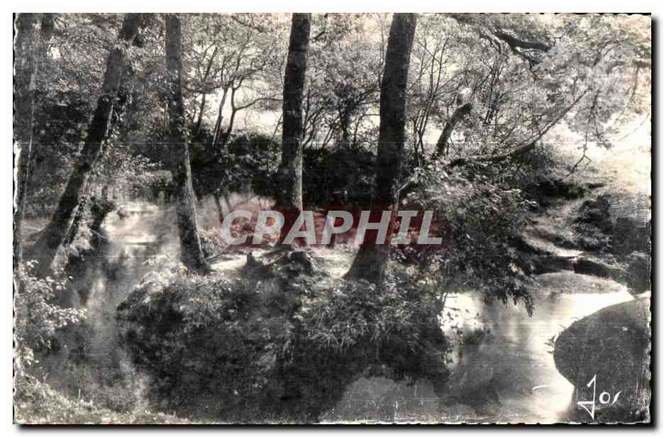 Le Huelgoat - Dans l allee Violette - CPSM