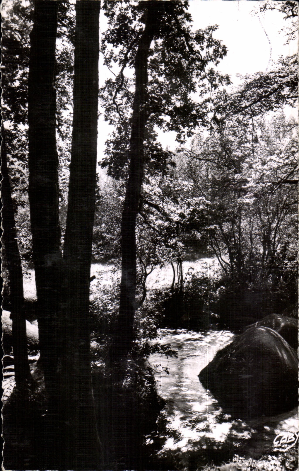 Huelgoat - Ruisseau dans la Foret - CPA 