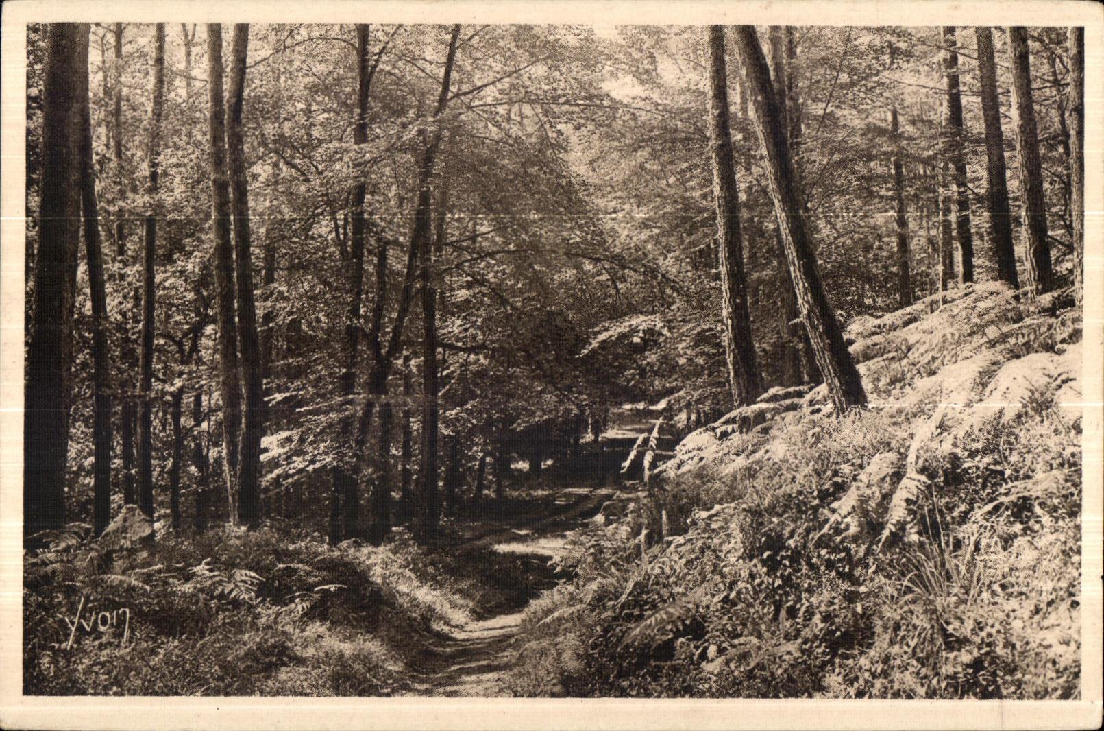 Huelgoat - Route dans la foret - CPA 