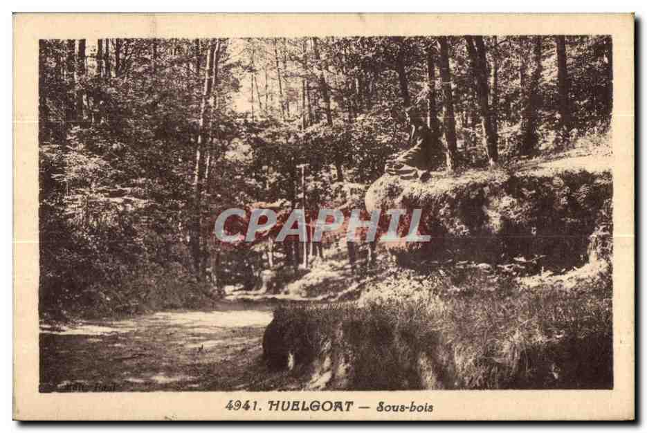 CPA Huelgoat Sous bois