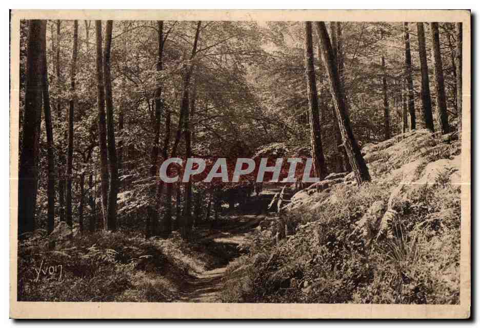 CPA Bretagne Huelgoat (Finistere) Roule dans la Foret