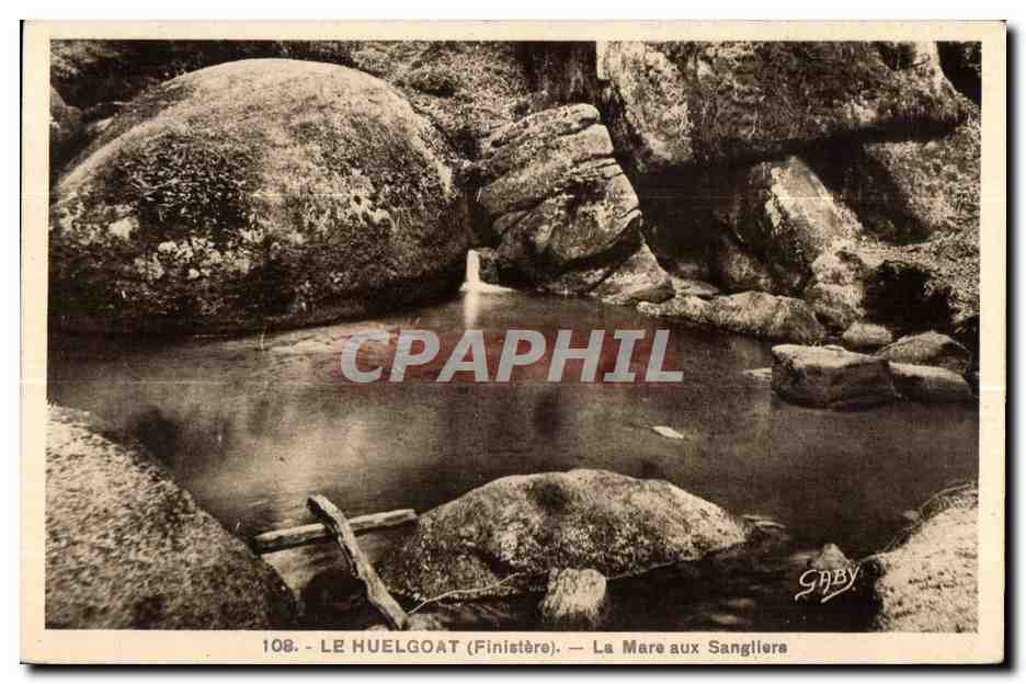 CPA Le Huelgoat (Finistere) La Mare aux Sangliers