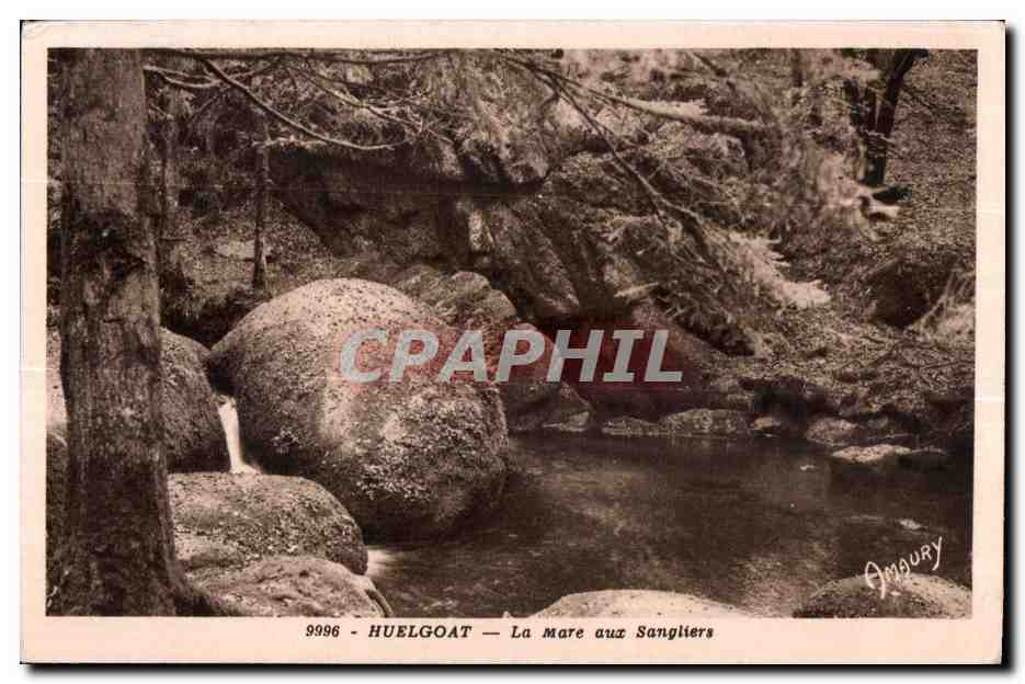 CPA Huelgoat la Mare aux Sangliets