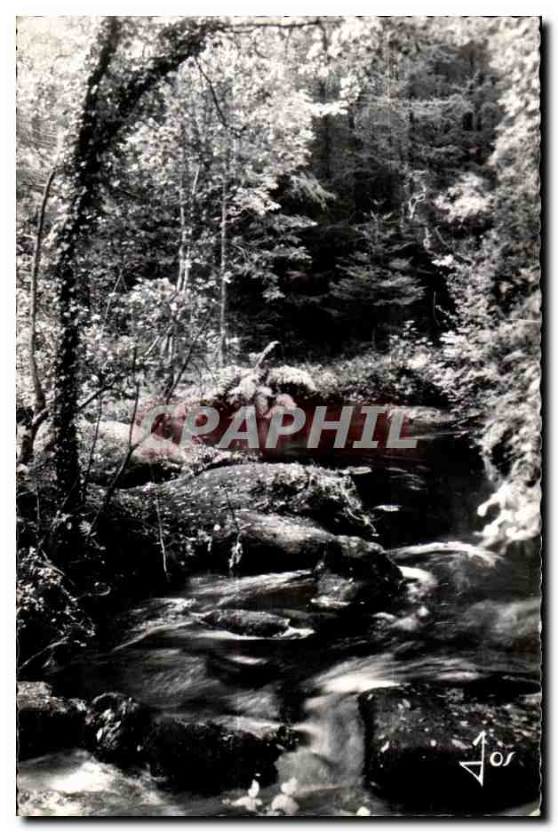 CPA Huelgoat (Finistere) La riviere d argent dans les sous bois