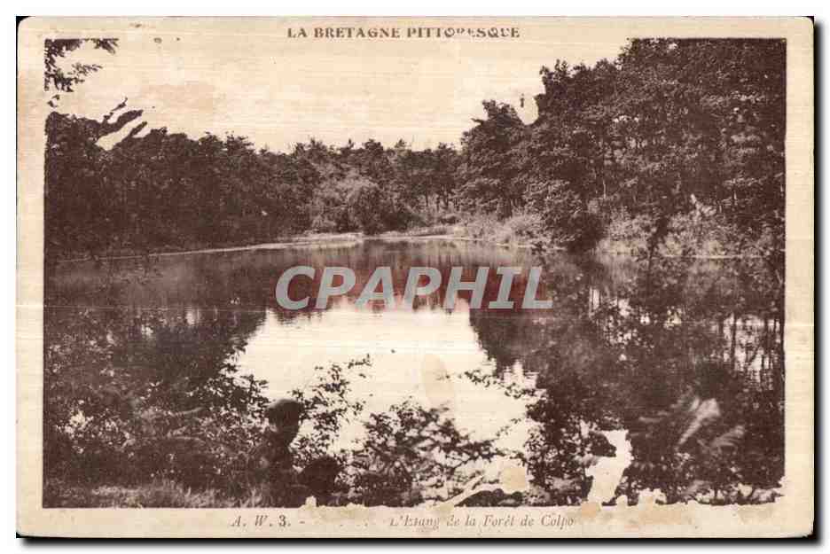 CPA La bretagne pittoresque Etang de la foret de Coplo