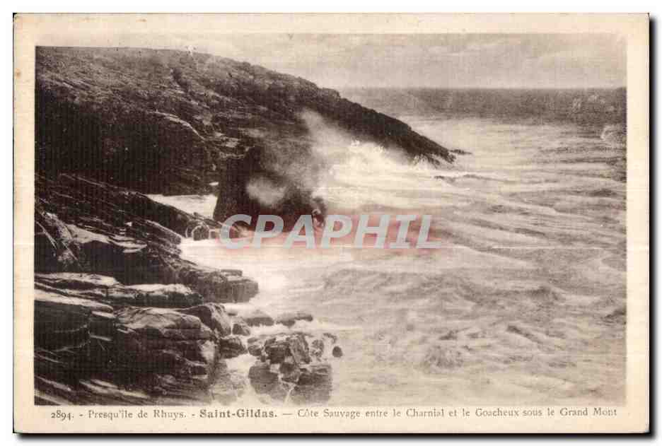 CPA Saint Gildas Presqu ile de Rhuys Charnial et le Goacherux sous le Grand Mont 