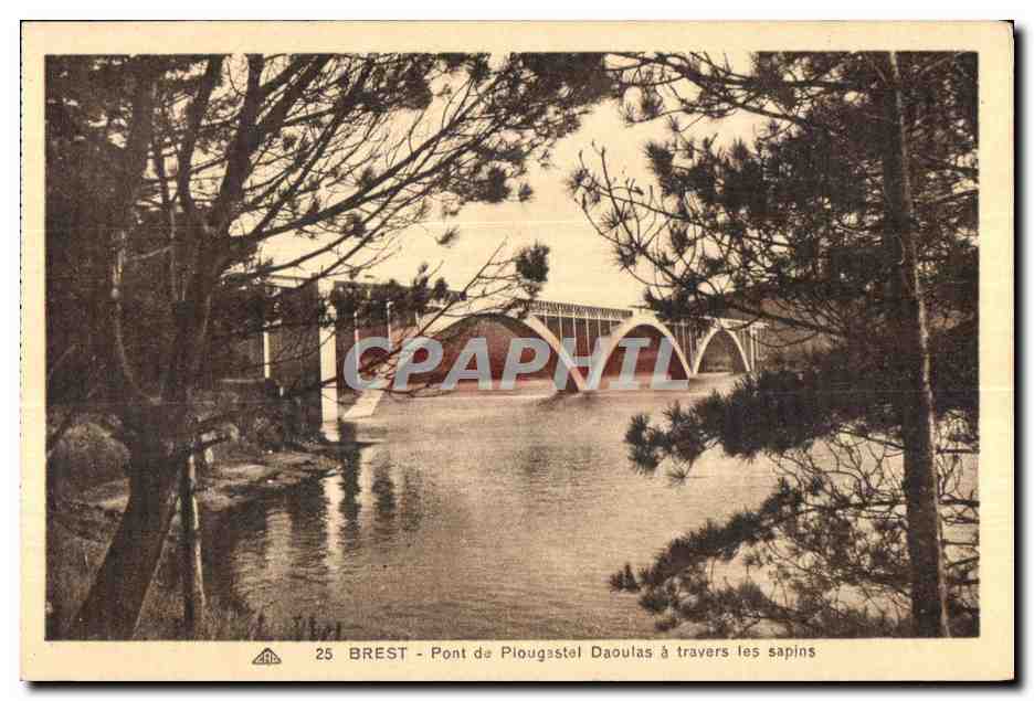 CPA Brest Pont de Plougastel Daoulas a travers les sapins