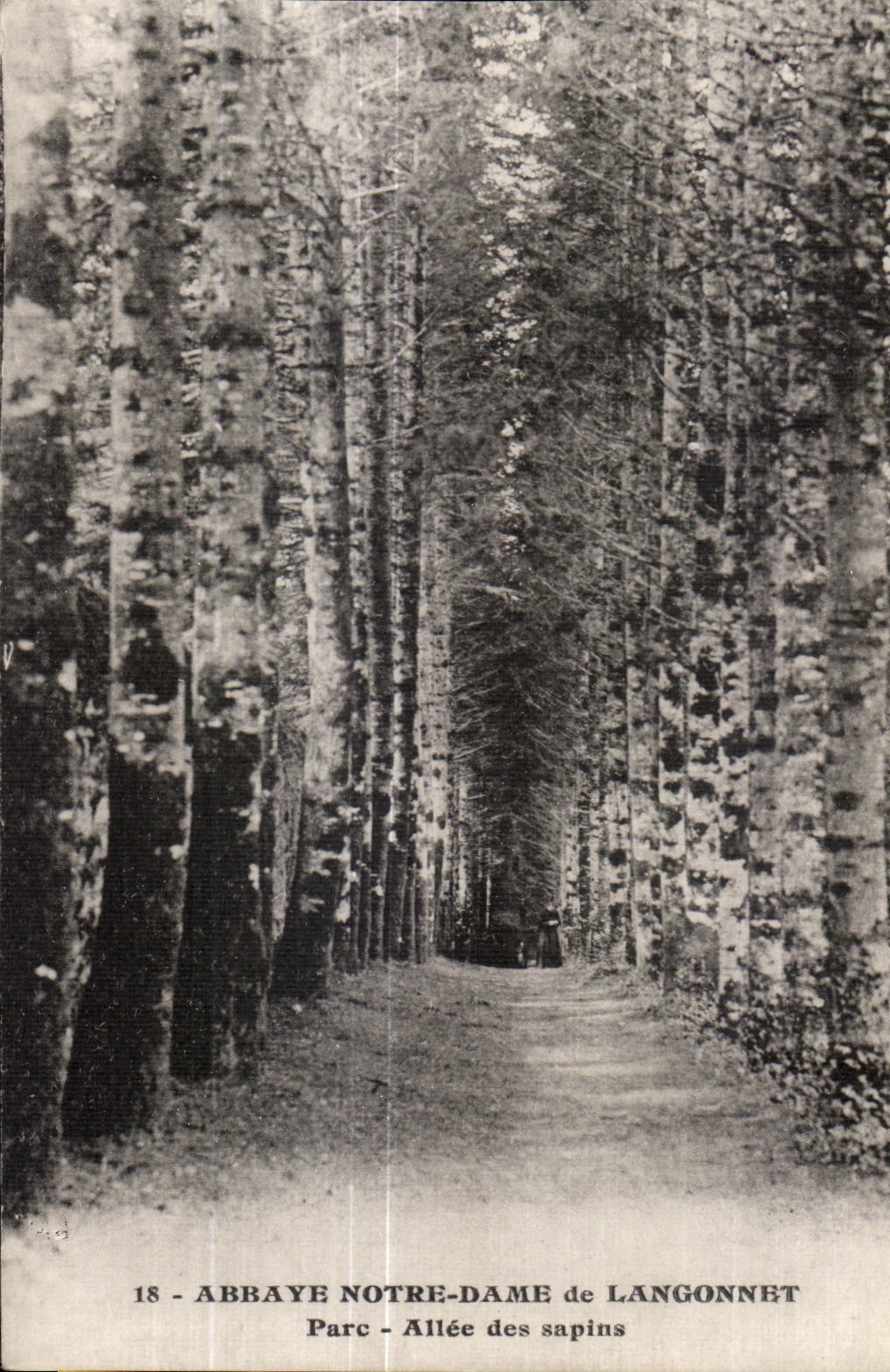 CPA Abbaye Notre Dame de Langonnet Parc Allee des sapins